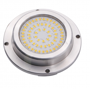 90x22mm 6W 316 stainless steel IP68 LED Underwater light